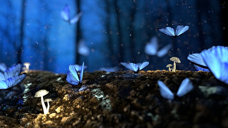 Magical Garden